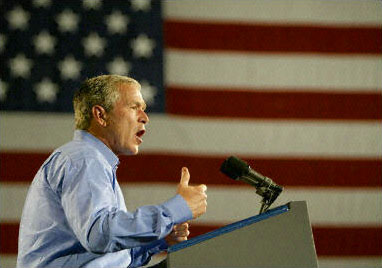 Bush_ProfilBigFlag.jpg